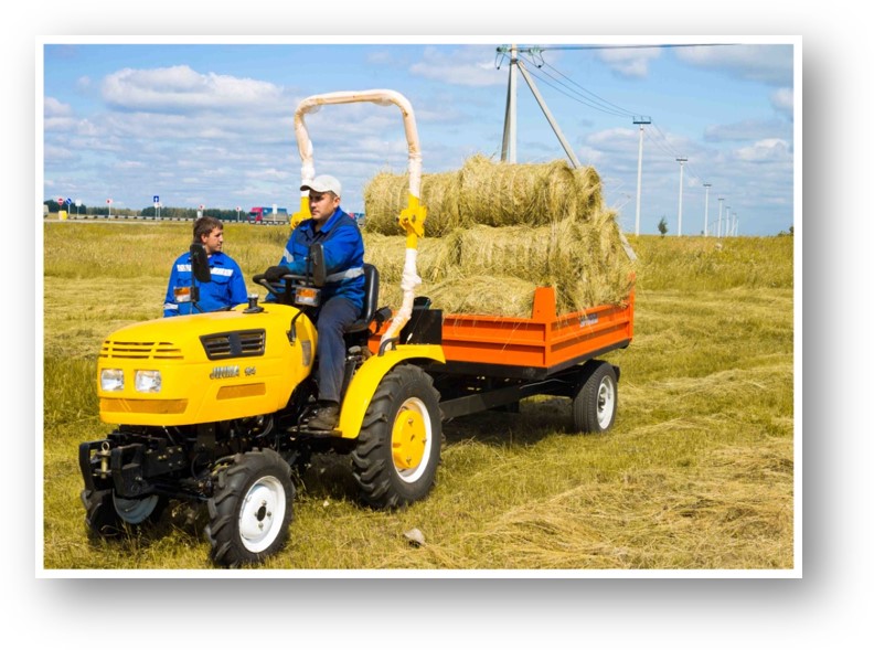 About Us